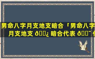 男命八字月支地支暗合「男命八字月支地支 🌿 暗合代表 🐯 什么」